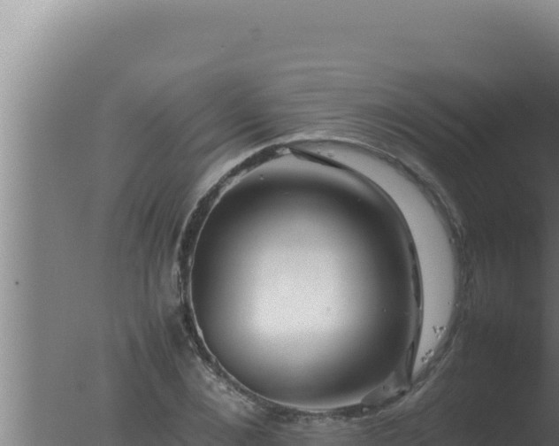 X0000077380876200610271943