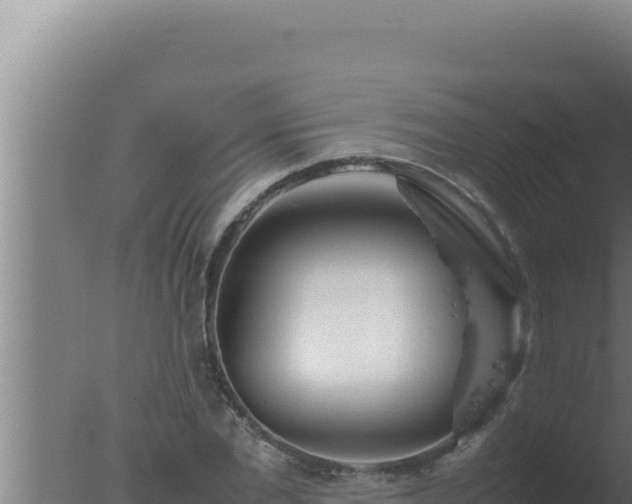 X0000077380877200610271943