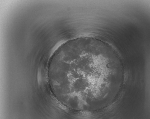 X0000077380878200610271943