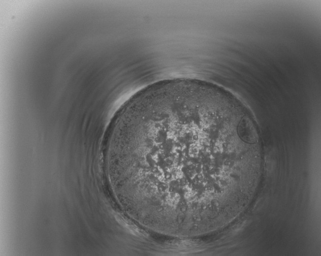 X0000077380879200610271943