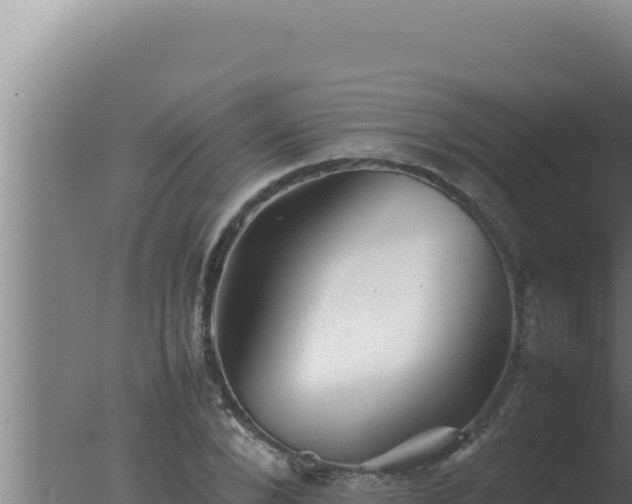 X0000077380880200610271943