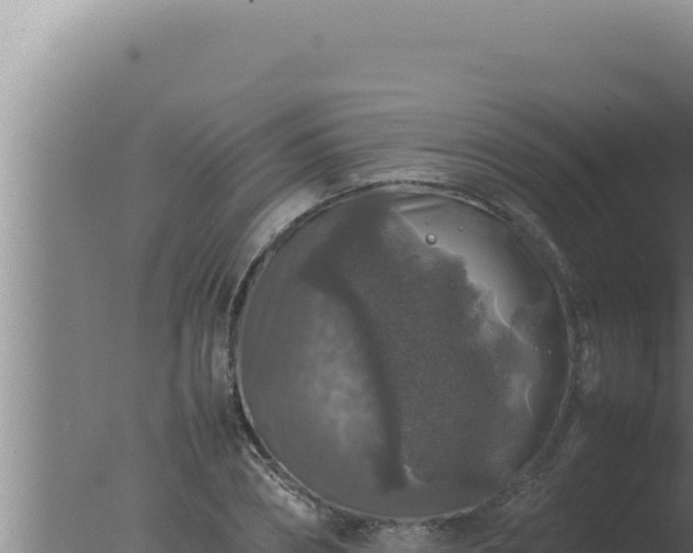 X0000077380882200610271943