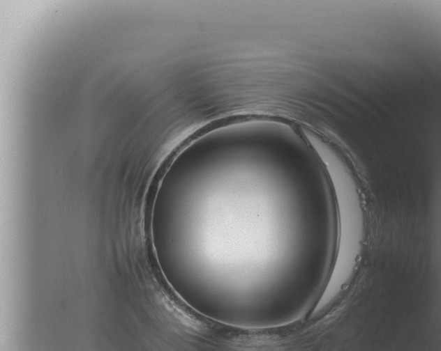 X0000077380884200610271943