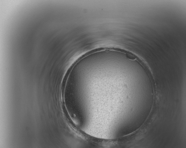 X0000077380887200610271943