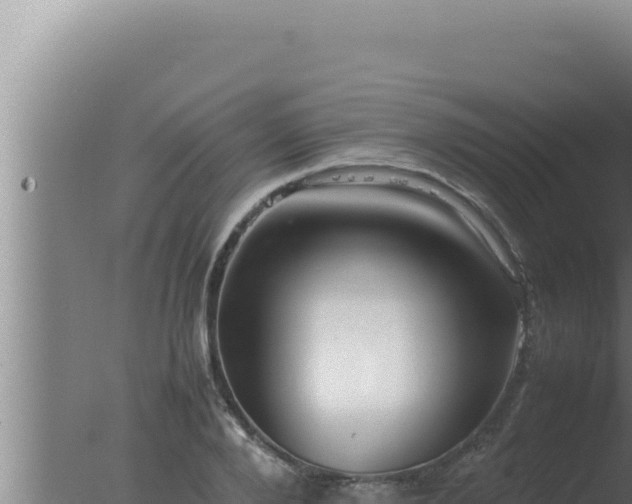 X0000077380888200610271943