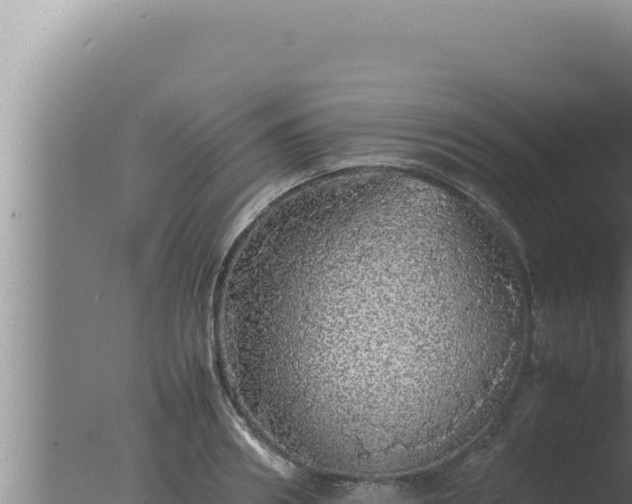 X0000077380890200610271943