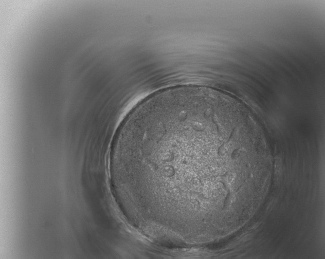 X0000077380891200610271943