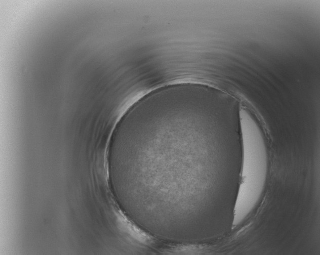 X0000077380892200610271943