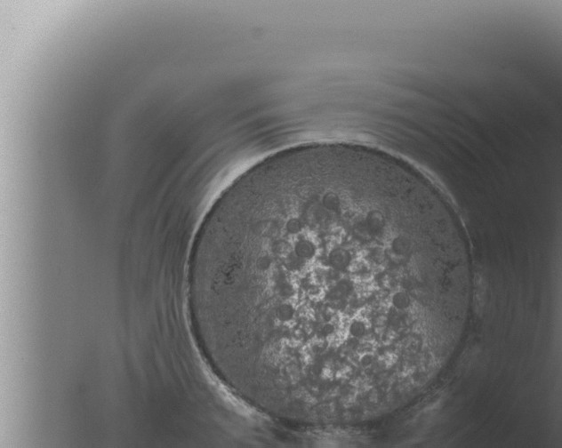 X0000077380895200610271943