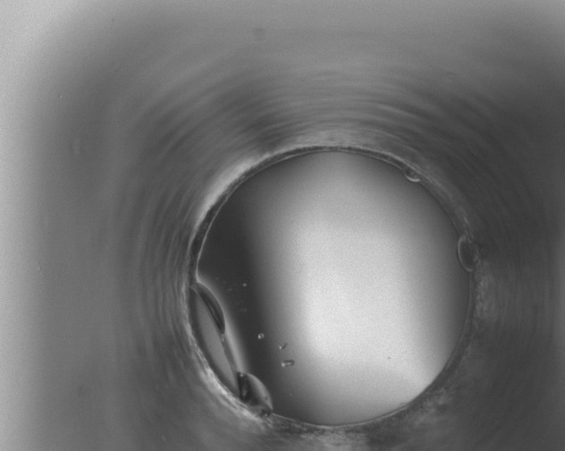 X0000077380896200610271943