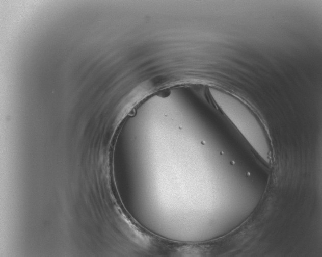 X0000077380898200610271943