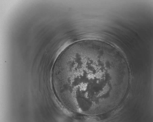 X0000077380899200610271943