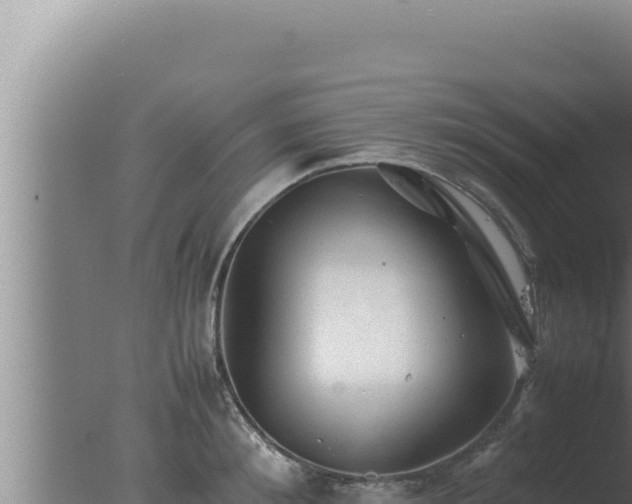 X0000077380900200610271943