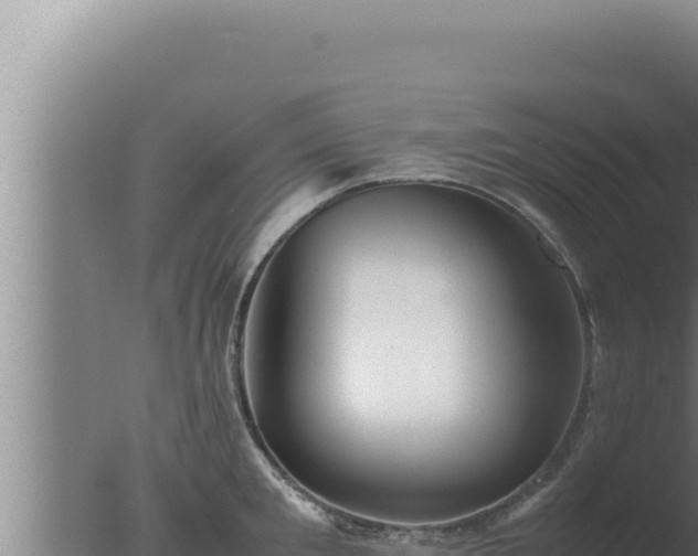 X0000077380901200610271943