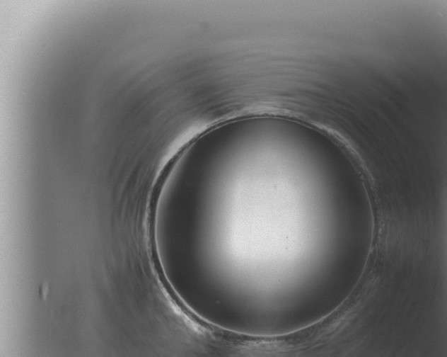 X0000077380902200610271943