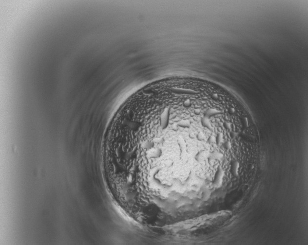 X0000077380903200610271943