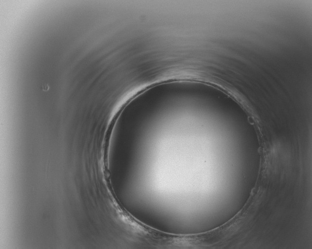 X0000077380904200610271943