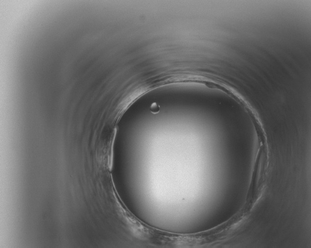 X0000077380905200610271943