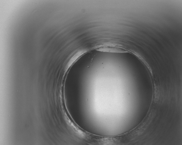 X0000077380906200610271943