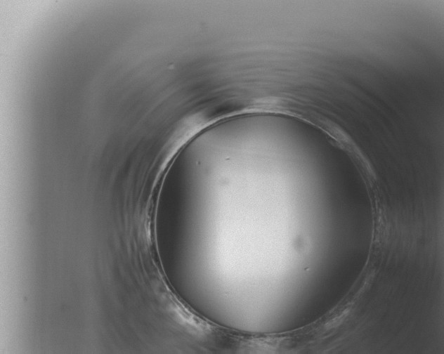 X0000077380908200610271943