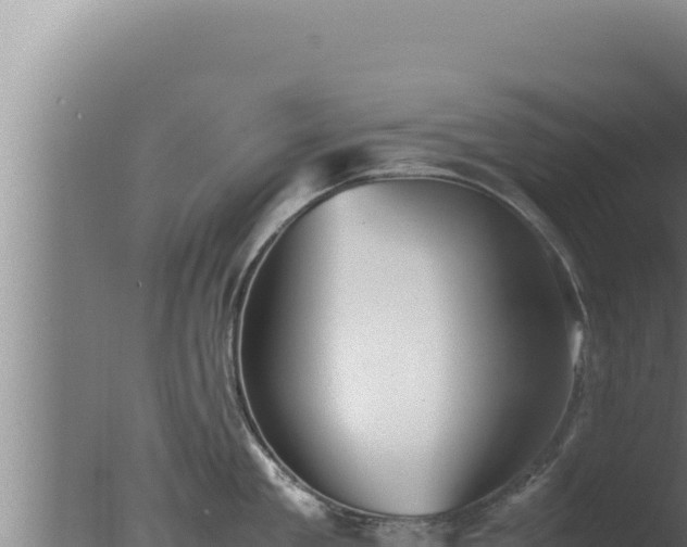 X0000077380909200610271943