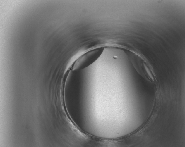 X0000077380910200610271943