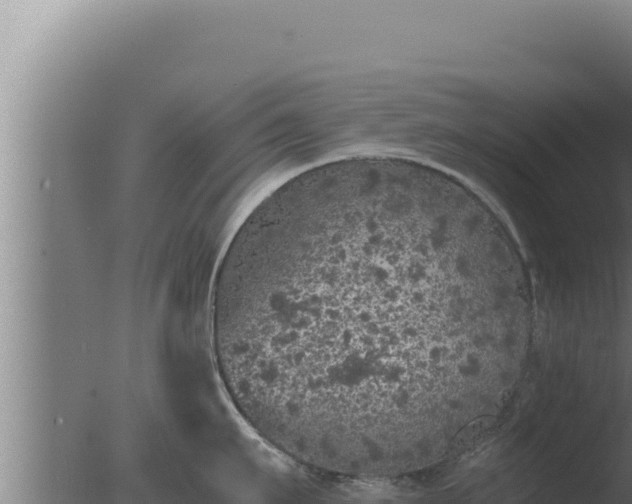 X0000077380911200610271943