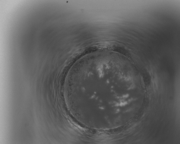 X0000077380913200610271942