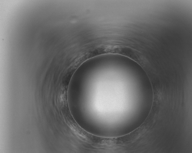 X0000077380914200610271942