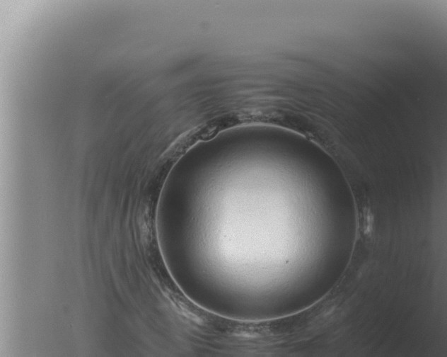 X0000077380915200610271942