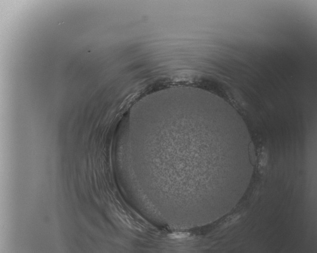 X0000077380916200610271942