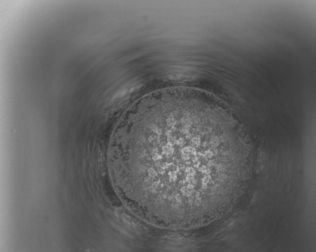 X0000077380917200610271942