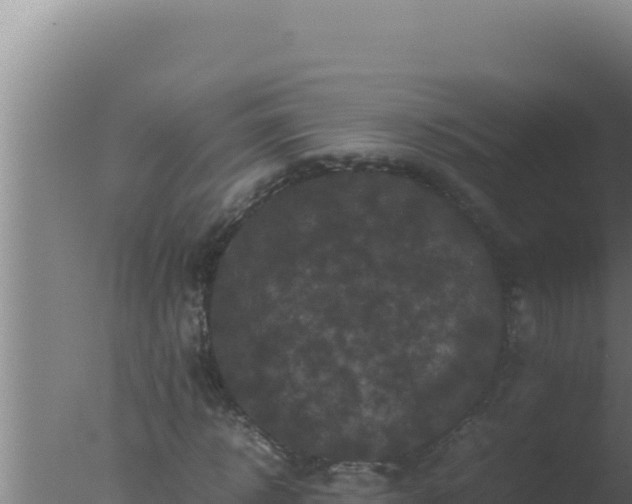 X0000077380918200610271942