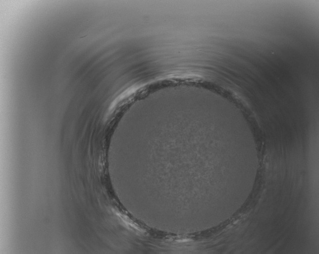 X0000077380920200610271942