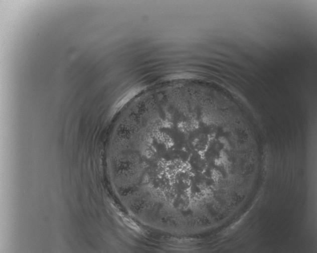 X0000077380921200610271942