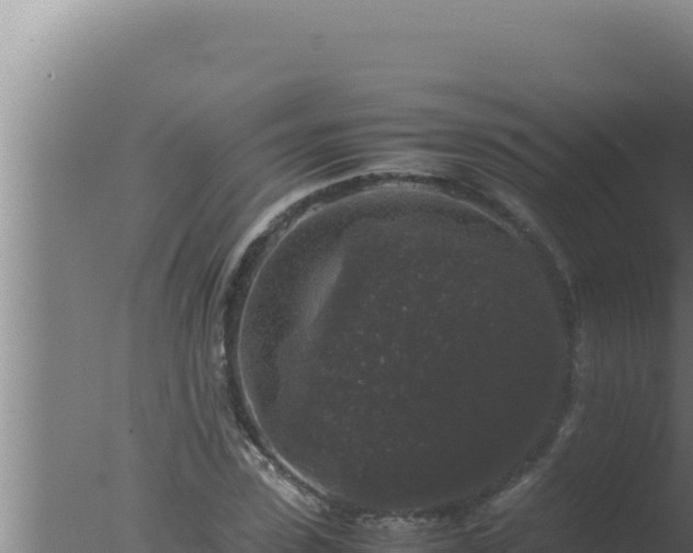 X0000077380923200610271942