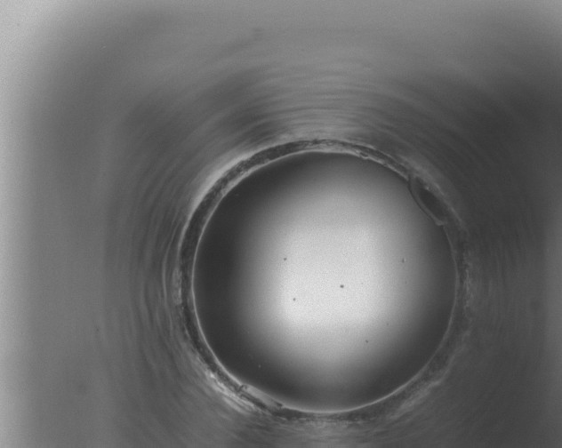 X0000077380924200610271942