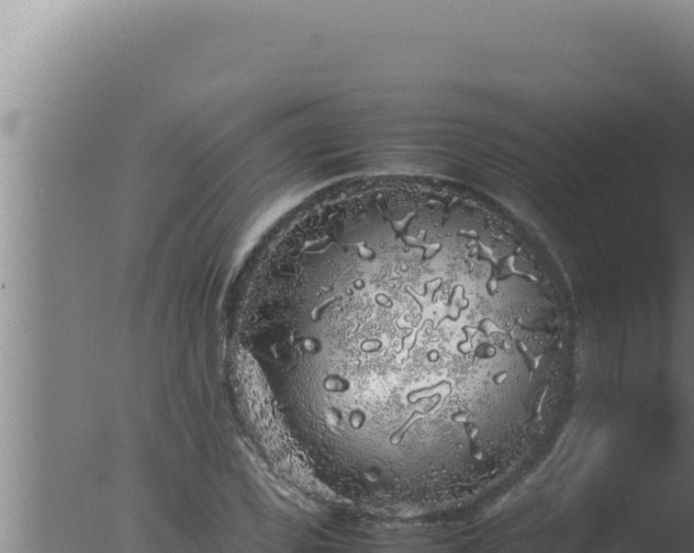 X0000077380925200610271942