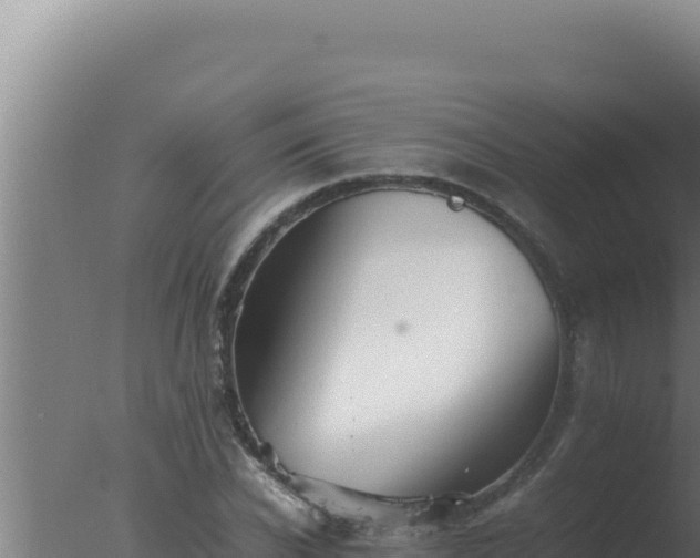 X0000077380926200610271942