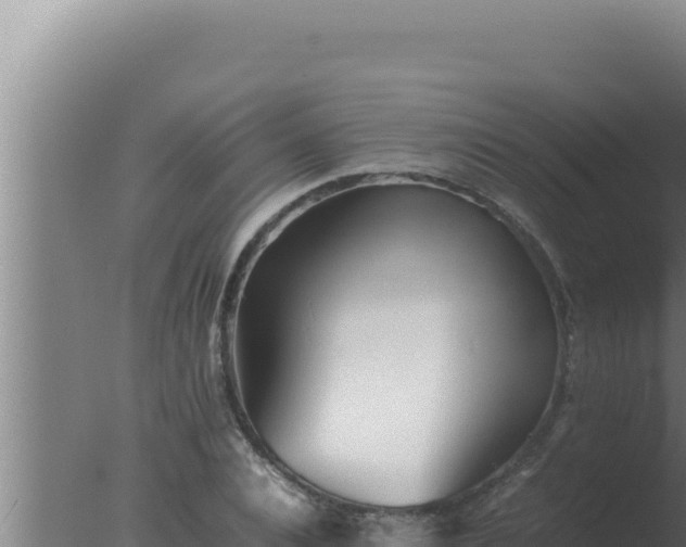 X0000077380928200610271942