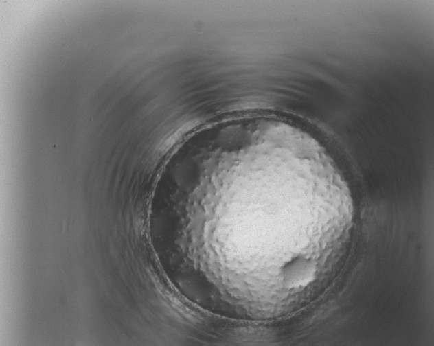 X0000077380929200610271942