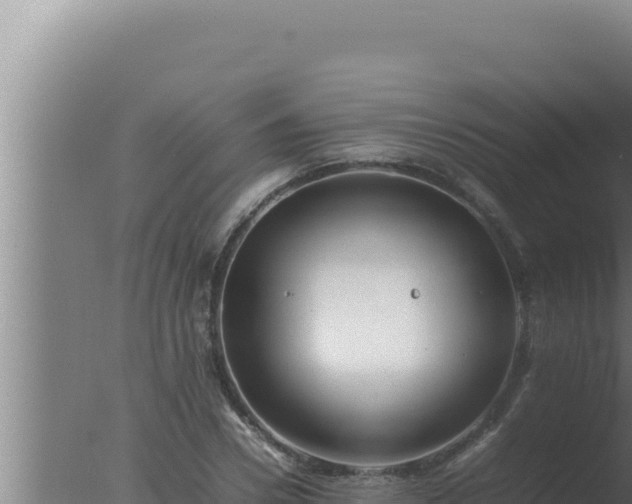 X0000077380930200610271942