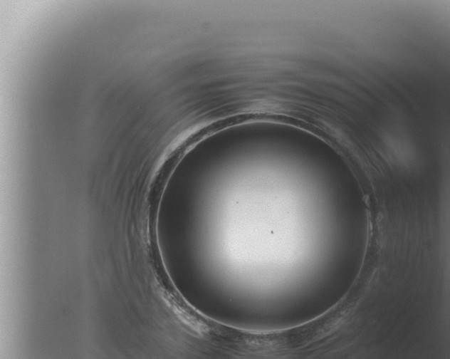 X0000077380931200610271942