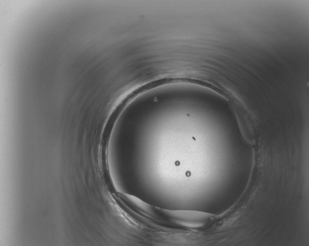 X0000077380932200610271942