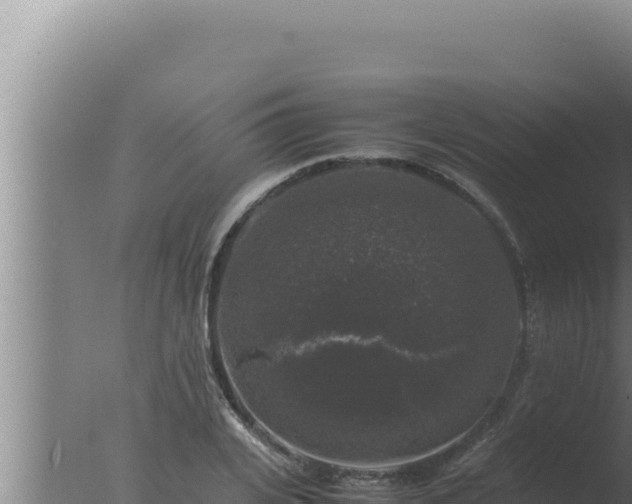 X0000077380935200610271942