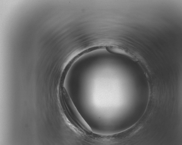 X0000077380936200610271942