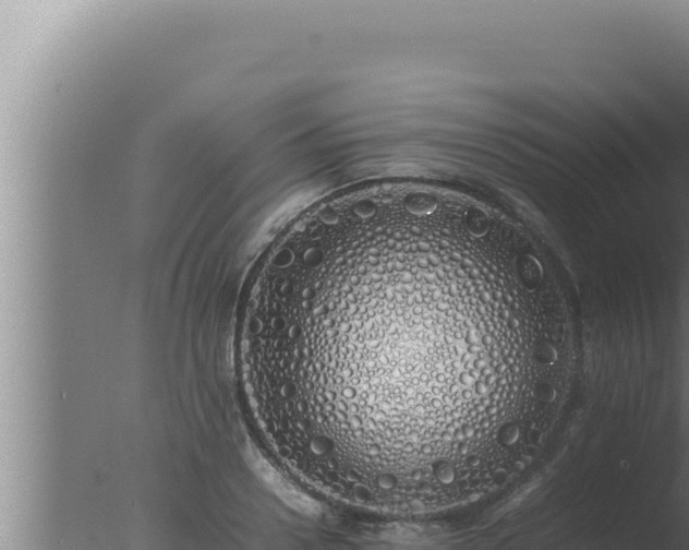 X0000077380938200610271942