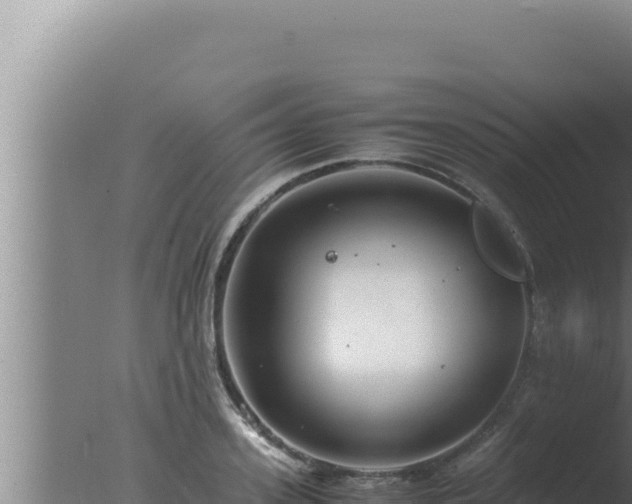 X0000077380939200610271942