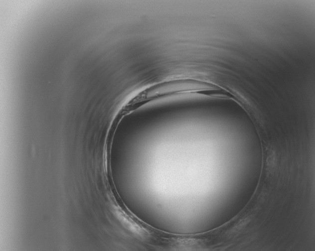 X0000077380940200610271942