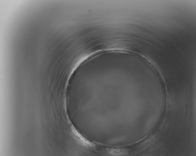 X0000077380941200610271942